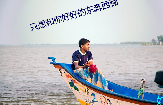 只想和你好好的东奔西顾