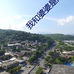 我和婆婆(婆)是闺(閨)蜜(蜜)全集