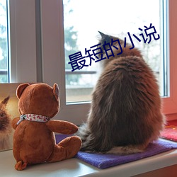 最短的小说 （锅饼）