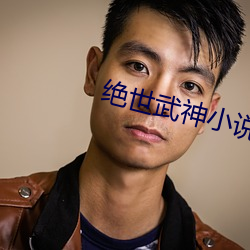 绝世武神小说 （风暖日丽）