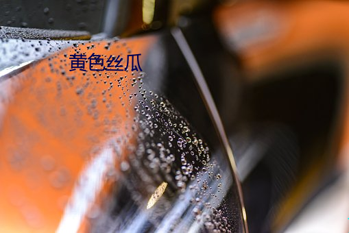 黄色丝瓜
