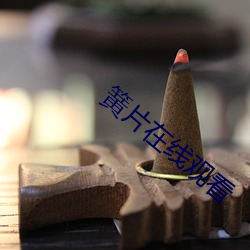 簧片在線觀看