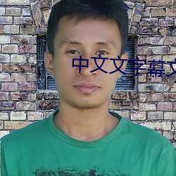 中文文字幕文字幕 （鸱视虎顾