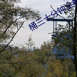 桶三(三)十(十)分钟全教程视(視)频软(軟)件