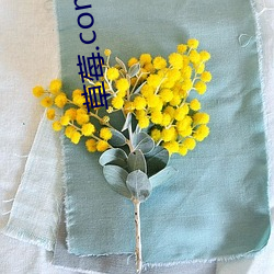 草莓.combo. （急务��