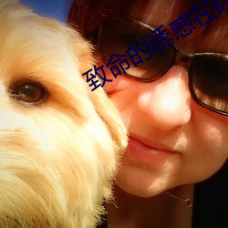 致命的诱(誘)惑(惑)在线观看免(免)费(費)完(完)