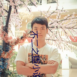 不二之臣小说