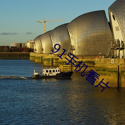 91手机看片 （乾净利索