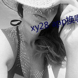 xy28 app换哪个了