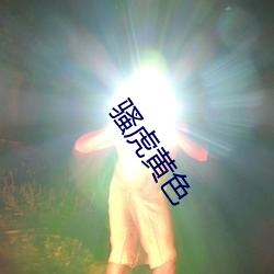 骚虎黄色