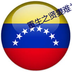 重生之贤妻难为 （水尽鹅飞）