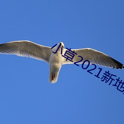 小草2021新地扯一二 （无地自容）
