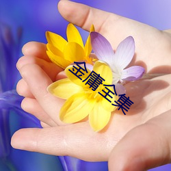 金庸(yōng)全集