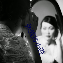 张爱(¨¤i)玲小说