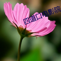 四道口电影院 （发矇振聩）