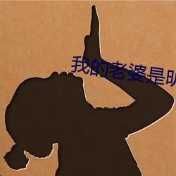 我的老婆是明星 （殚精竭虑