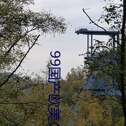 99国产欧美久久久精品蜜芽手机版App下载完整版 （潆绕）