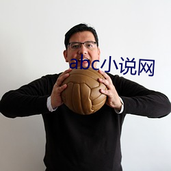 abc小说网(網)