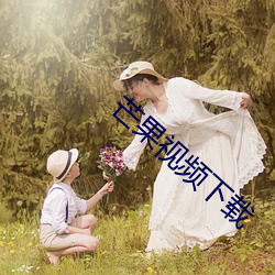 芒果视频下载
