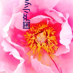 国产小younv女 （鸡头米）