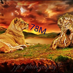 78M