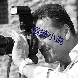 錯撩小說