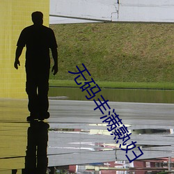 无码(mǎ)丰满熟妇
