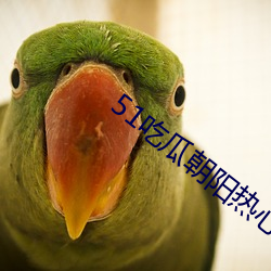 51吃瓜朝阳热心群众app