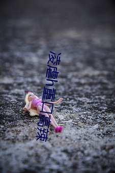 尊龙凯时·(中国)官方网站