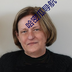 哈密瓜导航 （揭箧担囊