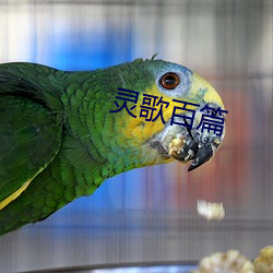 灵歌百篇