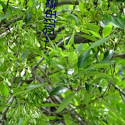 BG大游(中国)唯一官方网站