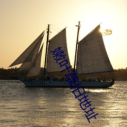嫩叶草旧地址