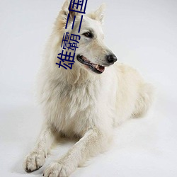 雄霸三国