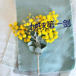 地(地)球第一(一)剑