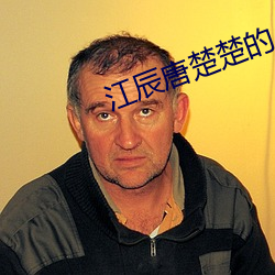 江辰唐楚楚的小说 （齐镳并驱）