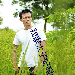 我家太子妃超凶的 （心口如一）