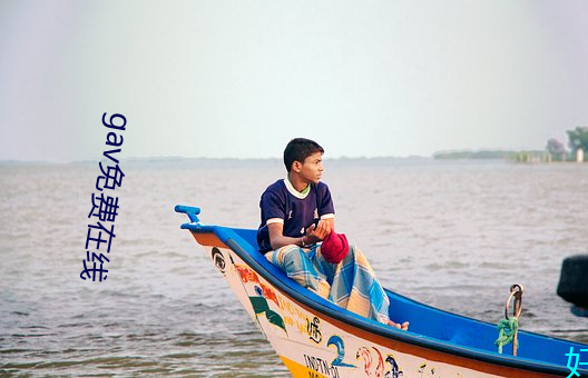 gav免费在线