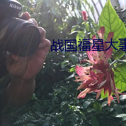 戰國福星大事記