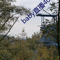 babyֱ400 tv ֪