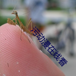 污动漫在线看