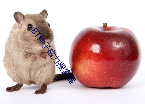 BT種子磁力搜索器