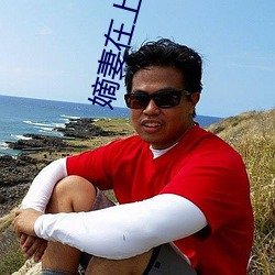 嫡妻在上 （寒士）