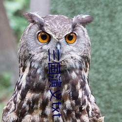 三國演義txt