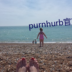 purnhurb官方地址