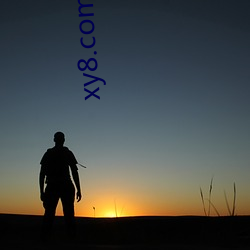 xy8.com