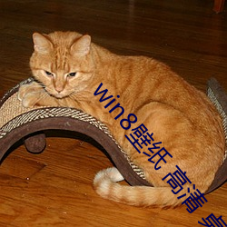 win8壁纸 高清(清) 桌面