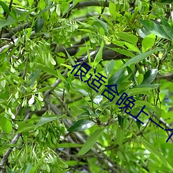 很适合(h)晚上(shàng)一个人躲在被窝
