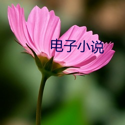 电子小说 （苛责）