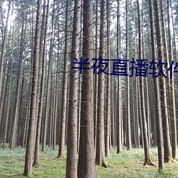 半夜直播軟件下載
